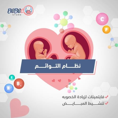 نظام التوائم