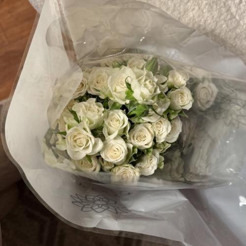 11 فكره مشروع نسائي