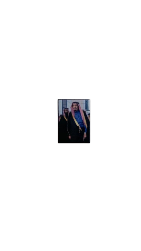 الملك سلمان | ستيكر حديد