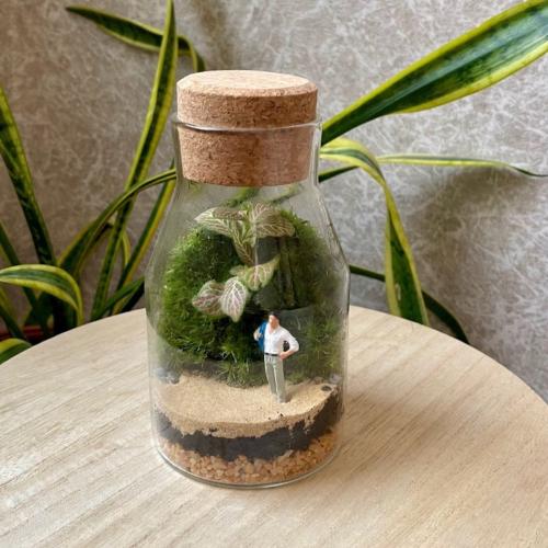 تيراريوم - Terrarium