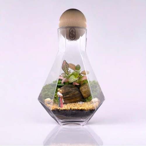 تيراريوم - Terrarium