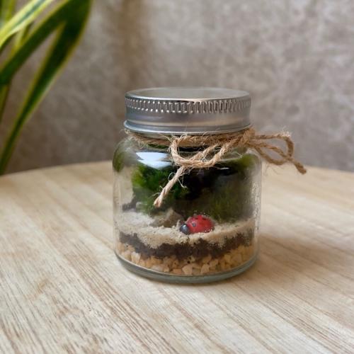 تيراريوم - Terrarium