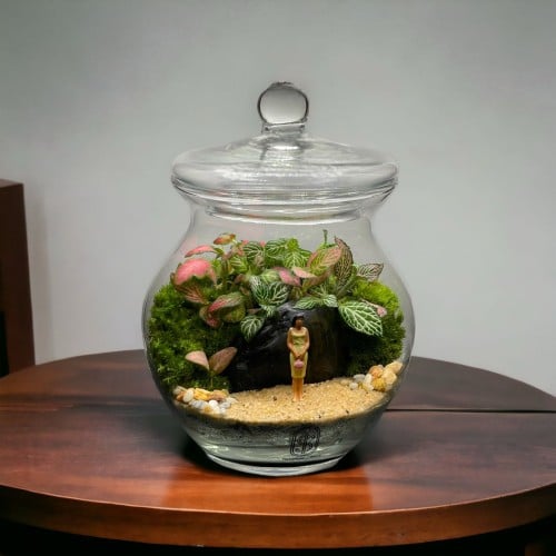 تيراريوم - Terrarium