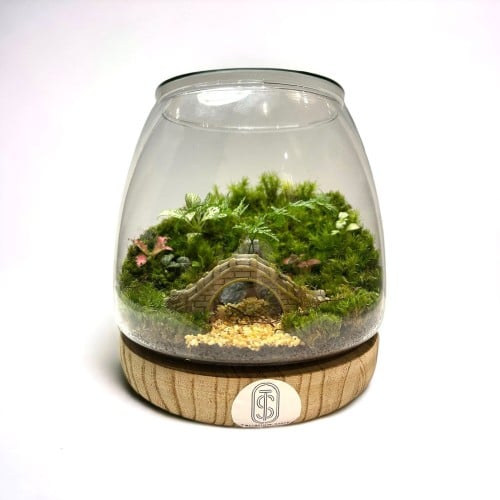 تيراريوم - Terrarium
