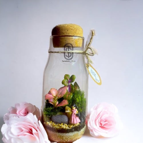 تيراريوم - Terrarium