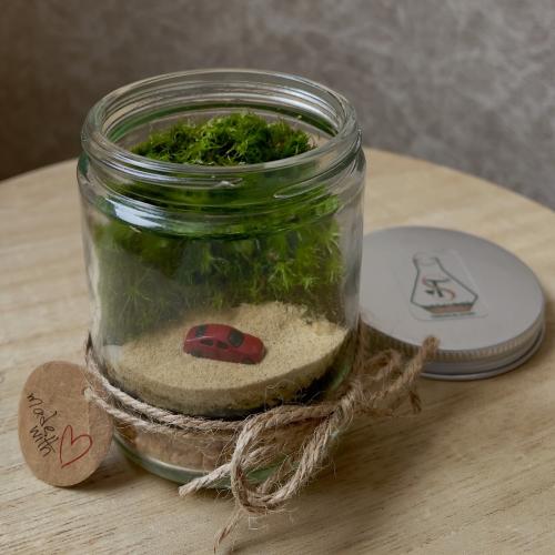 تيراريوم - Terrarium