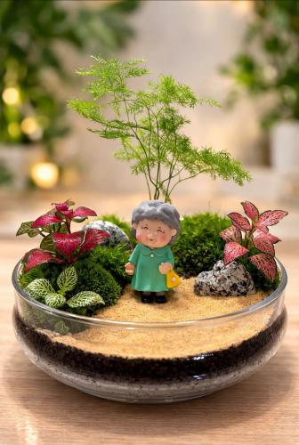تيراريوم - Terrarium