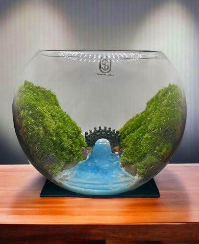تيراريوم - Terrarium