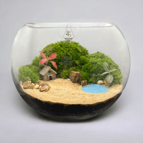 تيراريوم - Terrarium