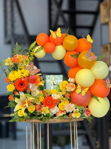 حديقة الزهور من باتشي