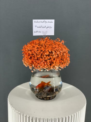 جبسو معا سمك