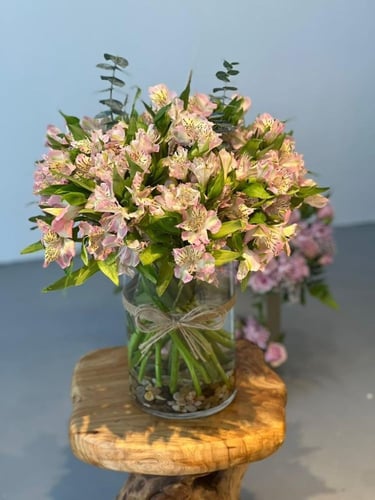 فازه ورد الستوميريا