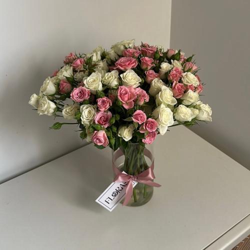 فازة البيبي جوري