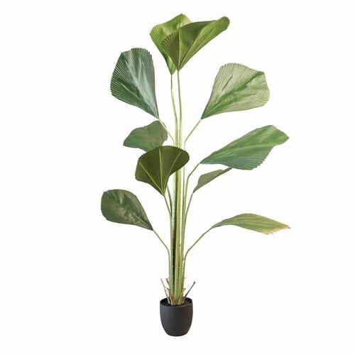 نخلة صناعية طويلة طولها 1.8