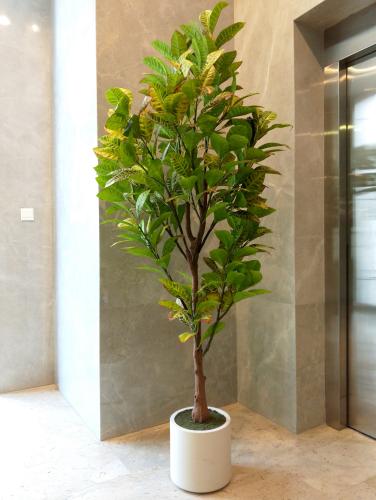 شجرة الكروتون الصناعية 1٫9م