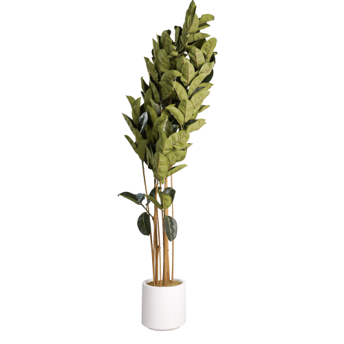 شجرة مطاط اخضر صناعية 1.8متر