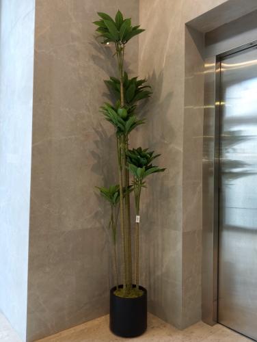 شجر الشفليرا الصناعي مقاس 2٫1م