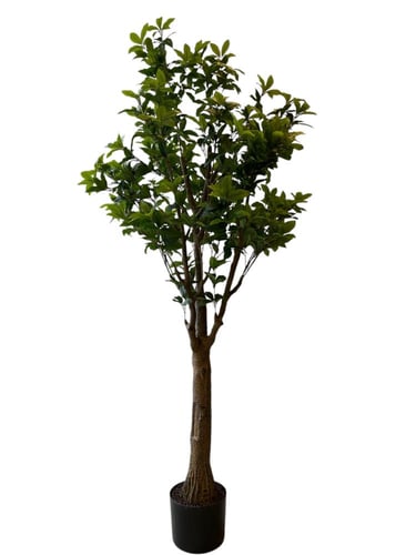 الفيكس نبات صناعي طول 2٫1م