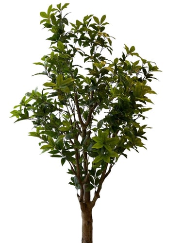 الفيكس نبات صناعي طول 2٫1م