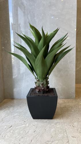 شجر صبار ديكور صناعي