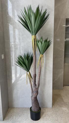 شجرة اليوكا الاصطناعية 3 فروع 2متر