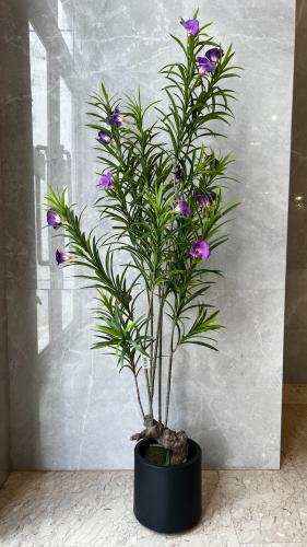 شجر ارتفاع 1.50 م