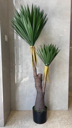شجرة اليوكا الاصطناعية 2 فروع 1.60م