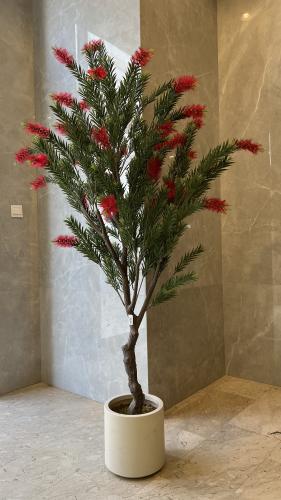 شجرة كاليستيمون الصناعية ارتفاع 2م