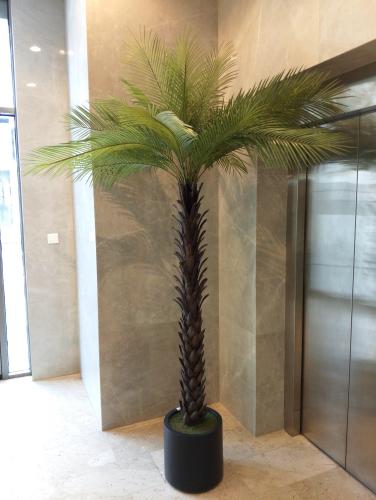 شجر نخل صناعي اخضر مقاس 2٫6م