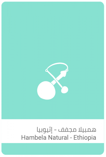إثيوبيا همبيلا - سلالات القهوة