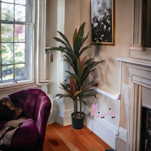 شجرة اوراق كوسكو بلون الاحمر