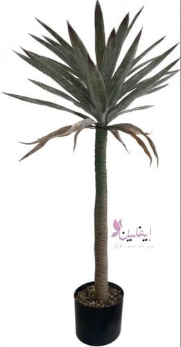 شجرة هيمب 3 مقاسات