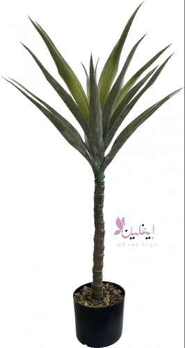 شجرة هيمب 3 مقاسات