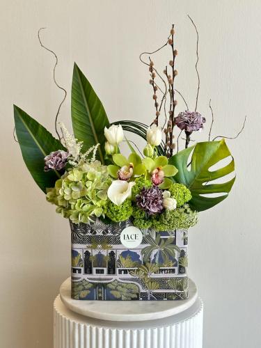 بوكس الرُقي