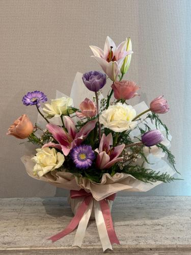 فاميلي بوكية