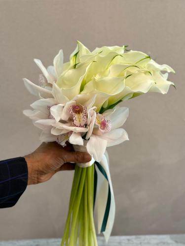 مسكة الكلا والسابديوم