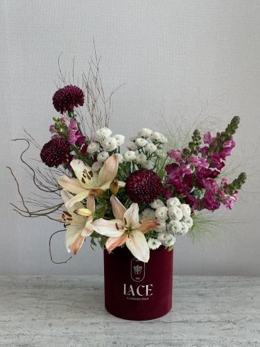 بوكس ريد بلاك