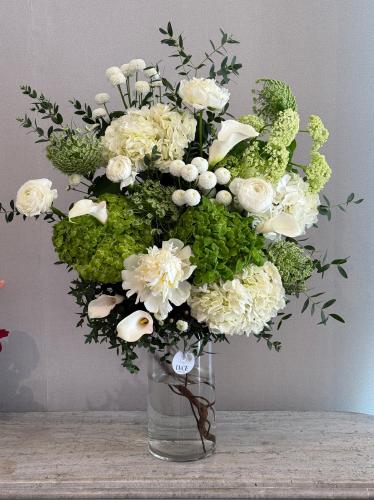 فازة السلام