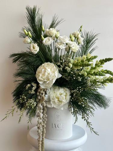 بوكس البيونيا و الدرجون