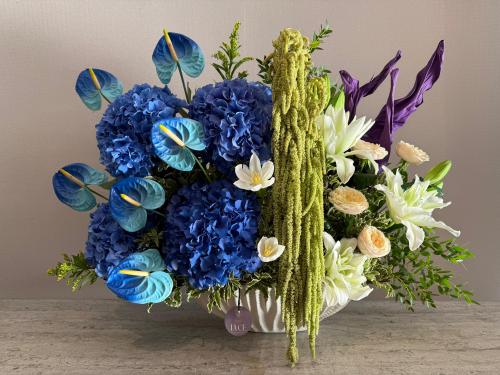 بلو هيدرانجيا