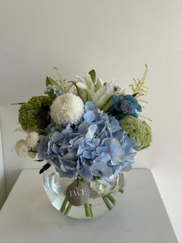 فازة الهيدرنجا والسيلوزيا مع الدانتيل