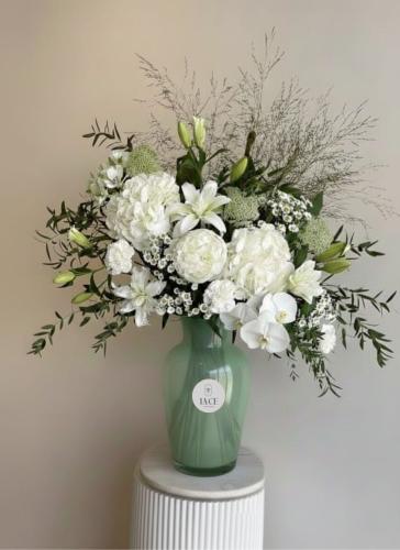 فازة الهيدرانجا والفلانبسوس