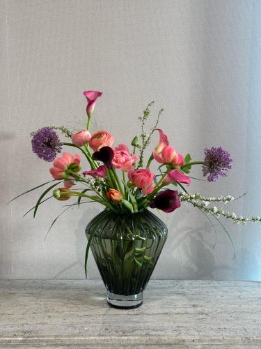 البلاك هورس