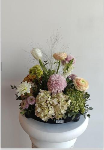 صنيه زهور هولنديه