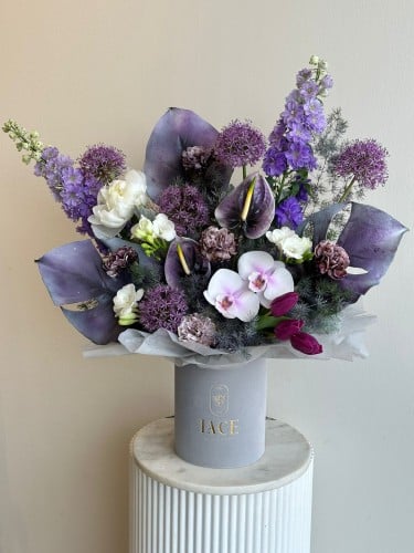 بوكس البنفسج