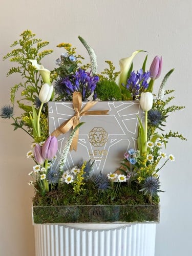 زهور هولندية مع تشوكلت ليفو