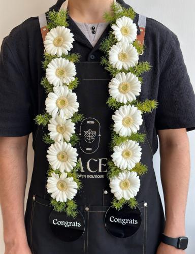 عقد التخرج من الجيربيرا الابيض