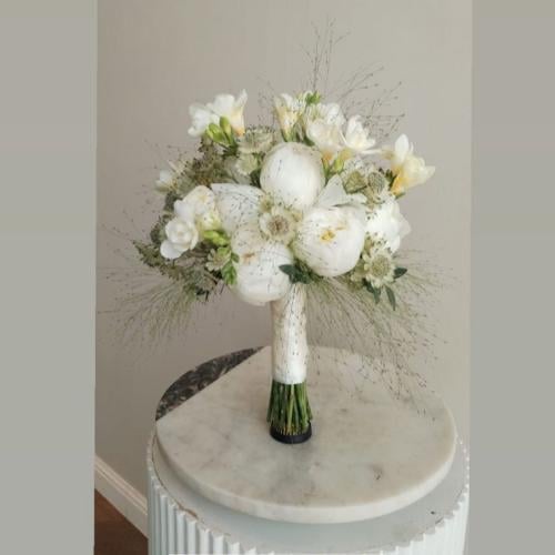 مسكة الاحلام