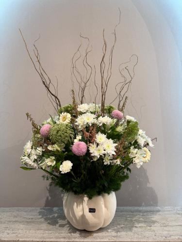 اليقطين الابيض