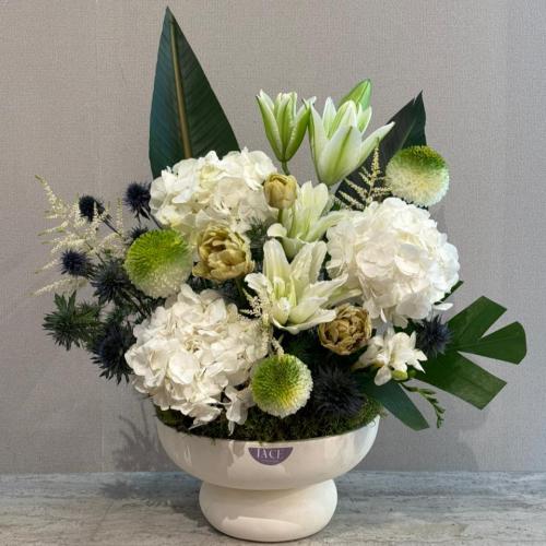 فازة النرجس